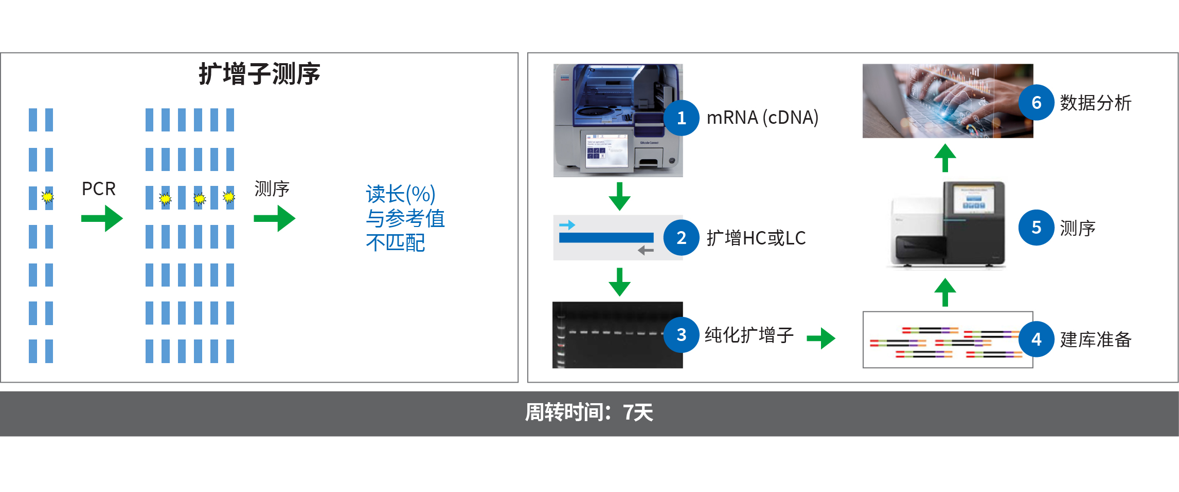 WuXi Biologics Sequence Variant Analysis