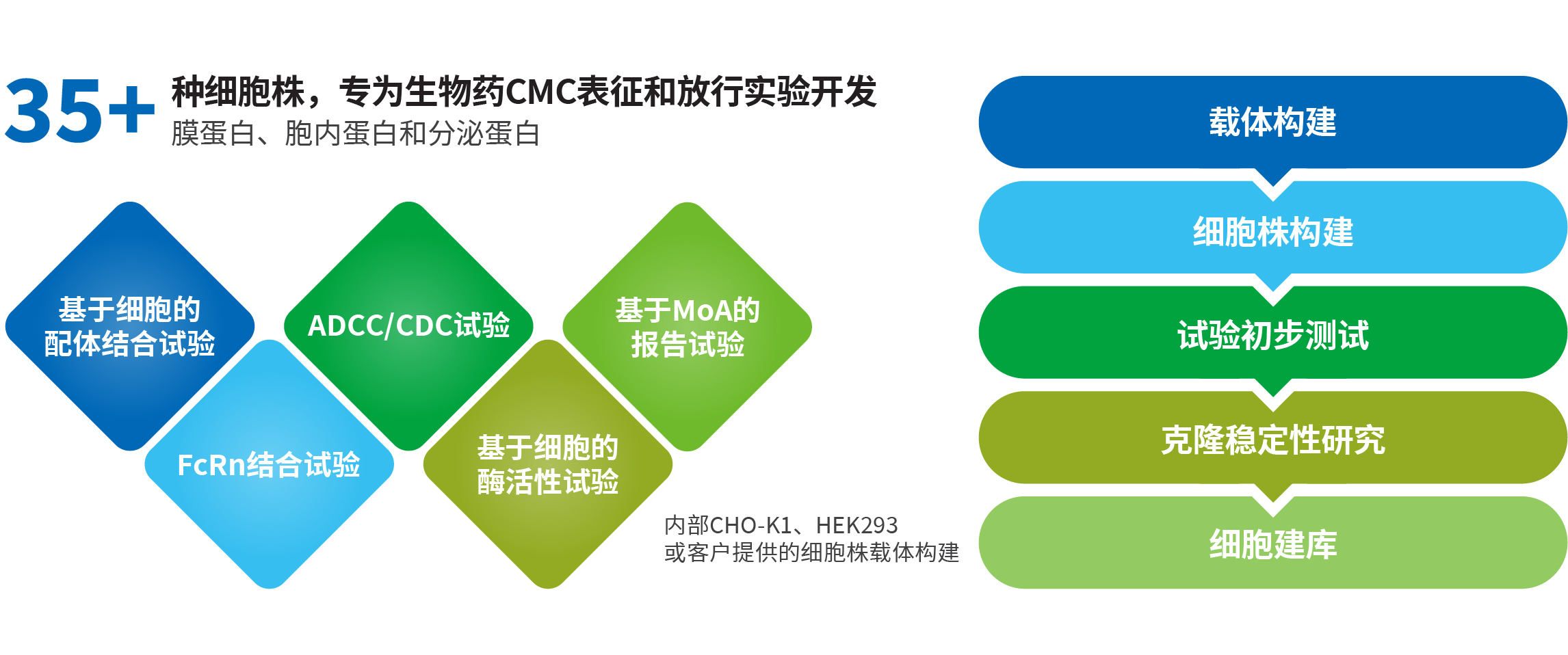 WuXi Biologics Reagent and Bioassay Cell Lines to support Analytical Programs